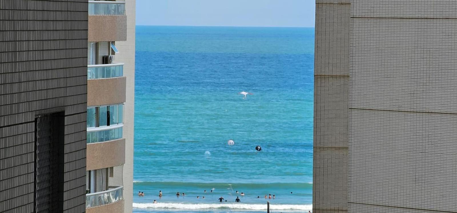 A Melhor Localizacao Da Praia Grande/Sp エクステリア 写真